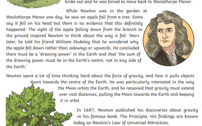 Newton Comp.