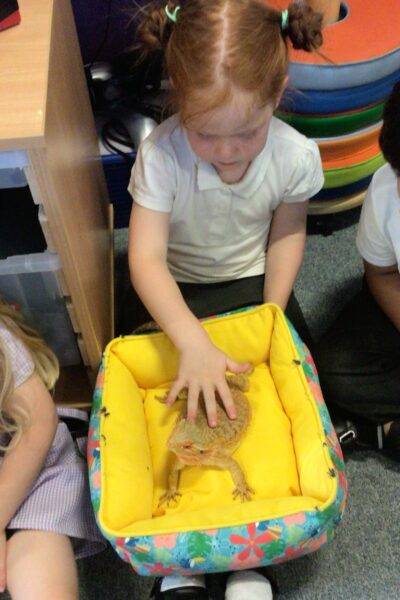 RL Lion Learners- Animal Handling