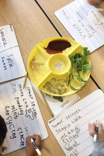 Science- exploring how we use our senses.
