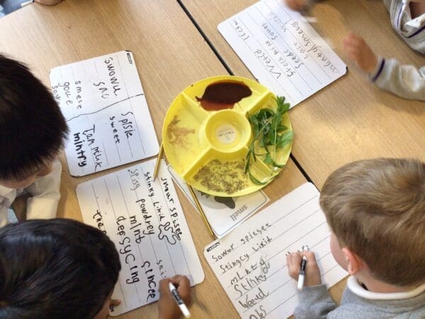 Science- exploring how we use our senses.