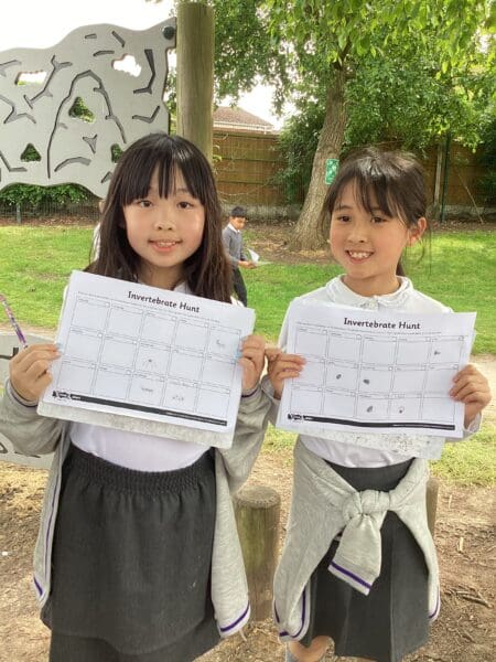 Year 4 Invertebrate Hunt