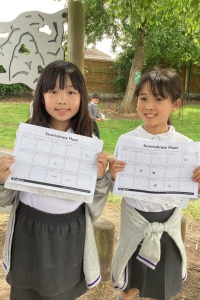 Year 4 Invertebrate Hunt