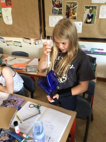 Y5: Mass vs weight