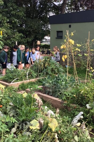 Y5 poetry walk