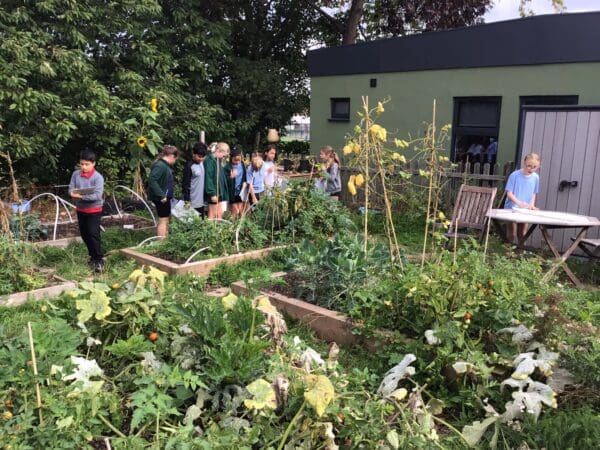 Y5 poetry walk