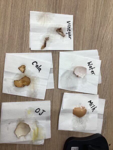 Year 4 Teeth Experiment